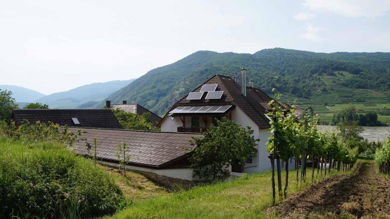 Weingut & Gaestezimmer Pammer Mitterarnsdorf Exterior photo